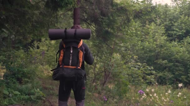 Человек турист выпрямляет свой рюкзак и начинает свое путешествие в лесу — стоковое видео