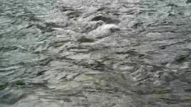 近くに明確な水の小さな山の川、フィールドの浅い深さに流れるまで。. — ストック動画