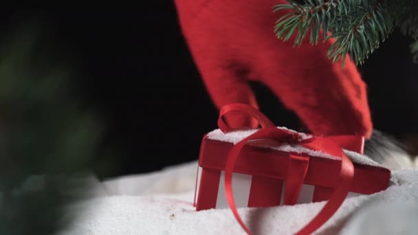 Una hermosa caja con un lazo bajo una pila de nieve. Dos manos en manoplas sacan un regalo y se sacuden de la nieve. Concepto de Navidad — Vídeo de stock