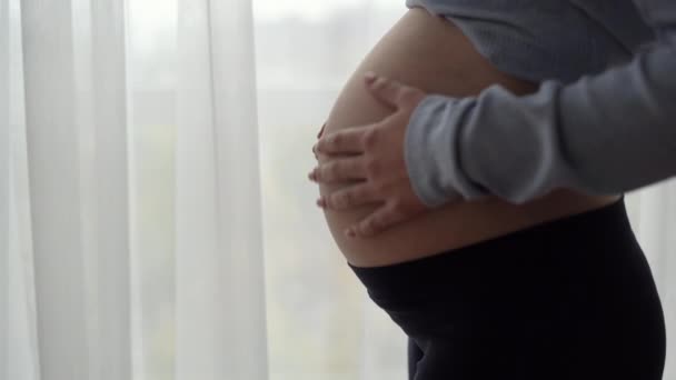 Silhouette en gros plan d'un ventre de femme enceinte. Repasser les mains de l'enfant à naître. — Video