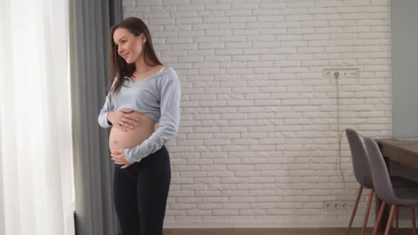 Jeune belle femme européenne enceinte se tient près de la fenêtre. Communication avec l'enfant à naître. Concept de maternité heureuse — Video