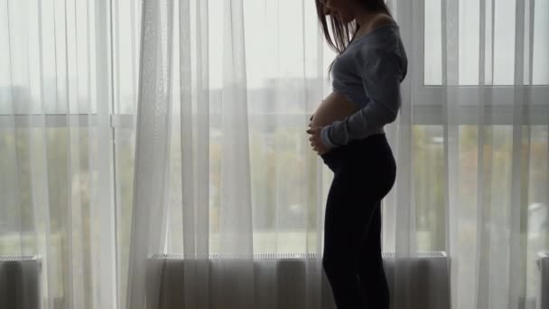 Eine Frau europäischen Aussehens steht neben einem großen Fenster und streicht sich über den Bauch. Glückliche Eltern — Stockvideo