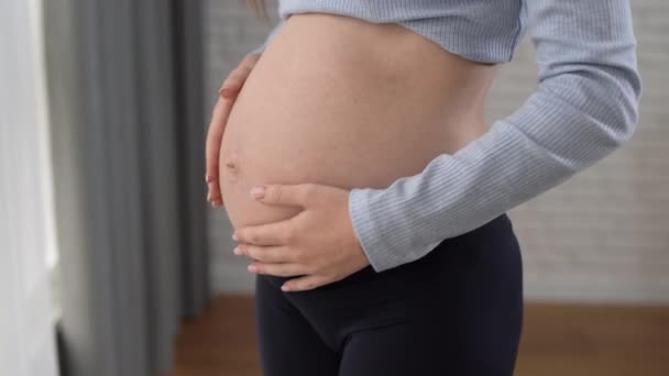 Fechar a barriga de uma mulher grávida, ela acaricia com as mãos. Espaço de cópia. — Vídeo de Stock