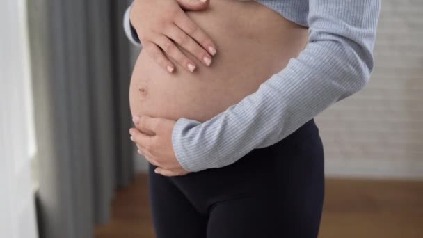 Primer plano del vientre desnudo de una mujer embarazada. Ella acaricia sus manos. Copiar espacio — Vídeos de Stock