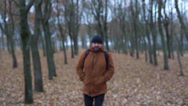 Mann des Aussehens geht, bleibt stehen und schaut sich um. Das Konzept des Wanderns im herbstlichen Wald — Stockvideo