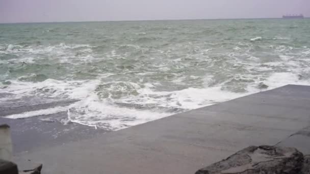 Tempête en mer, vagues de mer s'écrasent contre la jetée, volées de mouettes. — Video