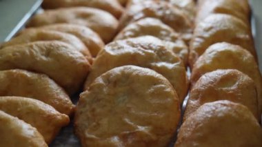 Ev yapımı aperatifler. Doğu mutfağından et tabakları. Farklı dolgulu kızarmış turtalar.