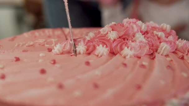 Close-up of a knife cut the cake into pieces. — Stock Video