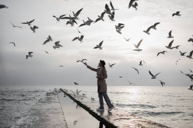 Güzel kız deniz kıyısında martıları besler, denize karşı ceketli kız, kız ve bir kuş sürüsü.