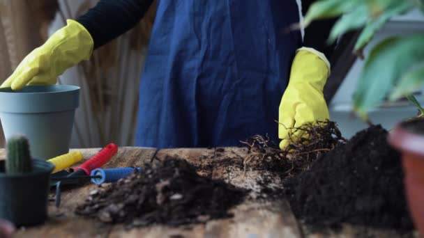 Close-up de mãos femininas em luvas amarelas estão envolvidos no transplante de plantas de sala. toma um vaso de flores e derrama solo nele com uma espátula especial. — Vídeo de Stock