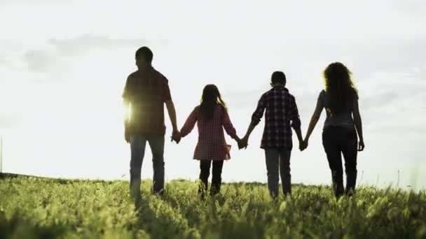 Family in a field at sunset walks with their backs in a frame family in a field at sunset walks with their backs in a frame. concept of happy vacation in the countryside. — Stok video