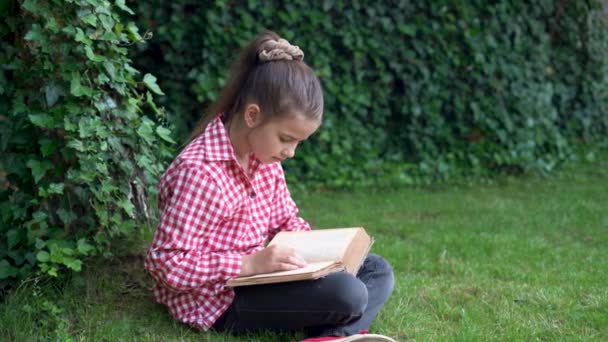 Een klein meisje dat buiten een boek leest, zittend op het groene gras in het park in de weide. Lees en ontspan. — Stockvideo