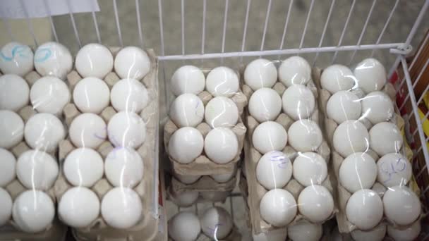 Gros plan des œufs de poulet sur une vitrine. Une main de femme prend un plateau d'œufs. Concept de shopping alimentaire. — Video