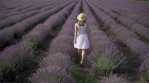 Campo de lavanda na Provença da França vista da parte de trás uma mulher em um vestido de verão leve e um chapéu de palha amarelo está andando na grama florida e desfrutando da viagem. — Vídeo de Stock
