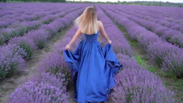 Visão traseira de uma jovem mulher caucasiana andando em um campo de lavanda vestida com um vestido de cetim longo azul. — Vídeo de Stock