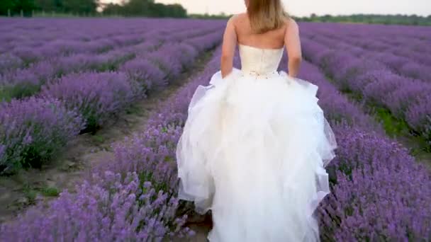Vista trasera de una joven hermosa mujer caminando a lo largo de un campo de lavanda vestida con un hermoso vestido de novia. — Vídeos de Stock
