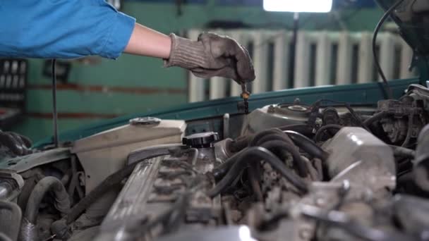 Mecánica de reparación de un coche con una campana abierta, vista lateral de un mecánico que comprueba el nivel de aceite del motor en un coche con una campana abierta. — Vídeo de stock