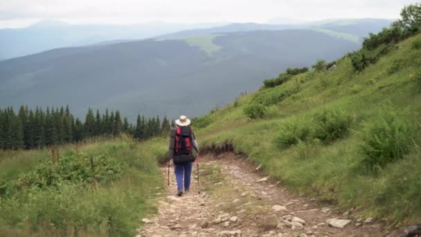 Un hombre activo pasa tiempo en las montañas, camina por el camino de la montaña con una mochila en los hombros, palos en las manos, de la espalda sin rostro. Copiar espacio. — Vídeos de Stock