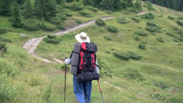 Aktif bir adam dağlarda vakit geçirir, sırtında sırt çantasıyla dağ yolunda yürür, elleri ve sırtında yüzleri olmadan gezer. Boşluğu kopyala. — Stok video