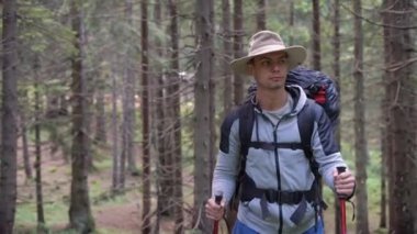 Yürüyüşçü bir adam kozalaklı ormanda yürüyor. İskandinav yürüyüşü için sopa kullanıyor. Gerçek bir turist ormanda yürür..