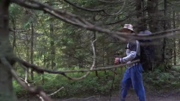 リュックを背負った白人男性観光客1人が杖を使って森の中の道を歩いている。屋外レクリエーションの概念。ハイキング休暇. — ストック動画