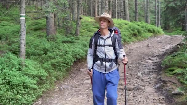 Een eenzame wandelaar wandelt over de weg door het bos met wandelstokken, draagt een grote rugzak, pakt zijn smartphone en maakt een paar foto 's van landschappen. — Stockvideo