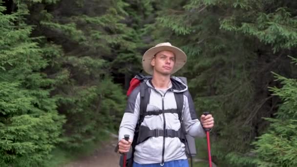 Egy utazó túrázó hátizsákban és dzsekiben sétálni az erdőben. Egy kalapos férfi, aki sétapálcát használ az erdőben. Férfi turista sétál az erdőben. — Stock videók