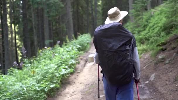 Aktiva friska kaukasiska mannen med en ryggsäck går längs skogsvägen. Man resenär vandring i bergen på sommaren. Resenären reser på en landsväg, meditation, ekoturism, vandring. — Stockvideo