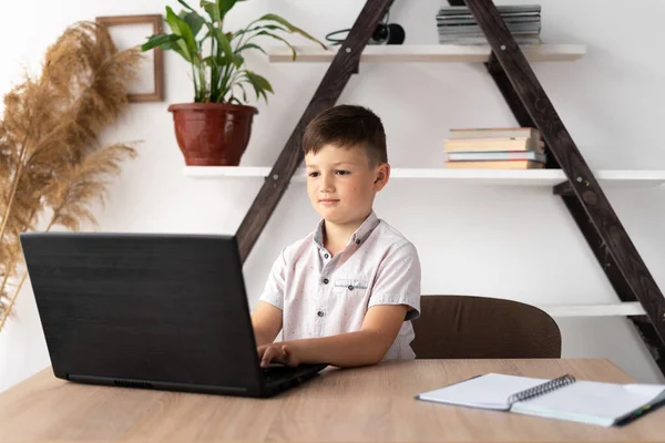 Child Working Laptop Online Education Remote Tutor Concentrated Schoolboy Doing — Fotografia de Stock