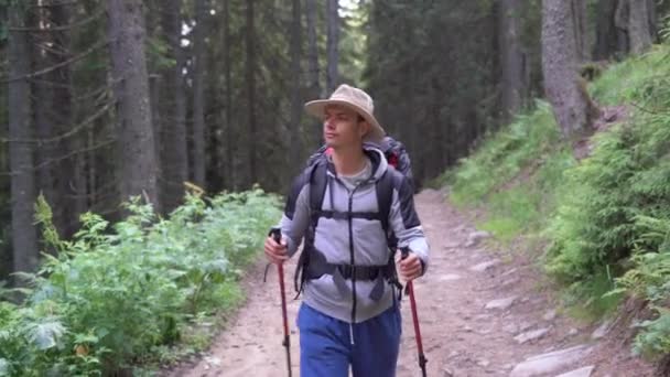 One Male hiker walks along the road in the forest with a tourist backpack and holds two walking sticks in his hands. — Video Stock