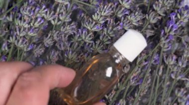 Kuru dalların üzerinde çiçeklerle birlikte bir şişe lavanta yağı. Doğal çiçek yağlarına dayalı ev yapımı parfüm. Güzellik sağlığı konsepti.