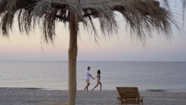 Jovem lindo casal caucasiano estão caminhando perto do oceano durante sua lua de mel em uma praia tropical. — Vídeo de Stock