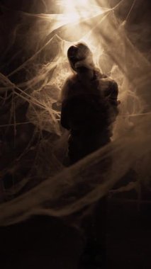 Silhouette of Dramatic zombie man trapped in spiderwebs in convulsion on light background. Halloween fantasy horror scene. copy space. vertical video