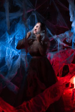 Mavi arka planda örümcek ağına takılmış korkmuş bir kadın. Boşluğu kopyala