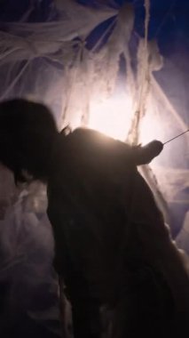 Silüet gotik kadın örümcek ağında kapalı mistik bir salonda kapana kısıldı. dikey video