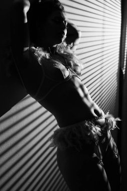 Gölgelerde ince vücutlu seksi bir kadının silueti. Seksi dantelli külot ve sütyenli iç çamaşırı mankeni. Siyah beyaz fotoğraf. Boşluğu kopyala