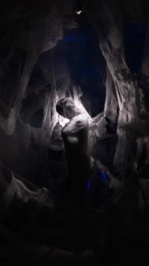 Kendini soyutlama. Korkunç örümcek ağlarına takılmış, acı çeken, korkmuş bir kadın. Korku, endişe ve suistimal kavramı. dikey video