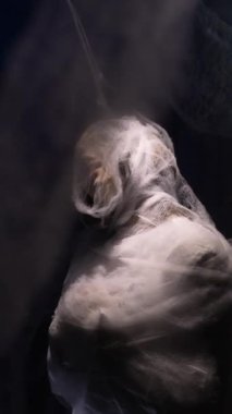 Koza içinde uyuyan depresif bir kadın. Akıl sağlığı ve depresyon kavramı. dikey video