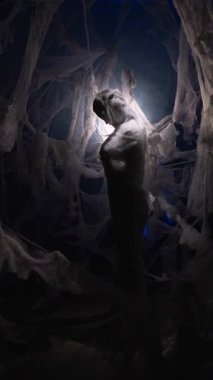 Woman in cocoon covering spiderweb in dark atmosphere. copy space. Vertical video