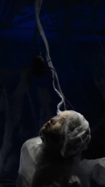 Kendini soyutlama. Korkunç örümcek ağlarına takılmış, acı çeken, korkmuş bir kadın. Korku kaygısı ve suistimal kavramı.