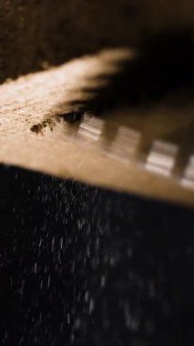 Tahta testereyi kullanarak tahta testereyi kesen Macro Dof. dikey video