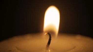 Mum alevinin Macro Dof 'u siyah arkaplanda izole edildi. Boşluğu kopyala