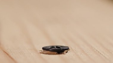 Tahta bardaki vidaları sökmek için matkap makro DOF. yakın plan