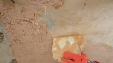 Turuncu eldivenli bir adamın eli, duvardaki eski duvar kağıtlarını kaldırıyor, odayı yenileme ve dekorasyon için hazırlıyor..