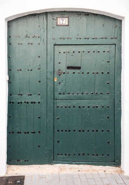 Painted wooden door — Stock Photo, Image