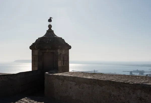Башня и чайка на фоне моря и голубого неба — стоковое фото