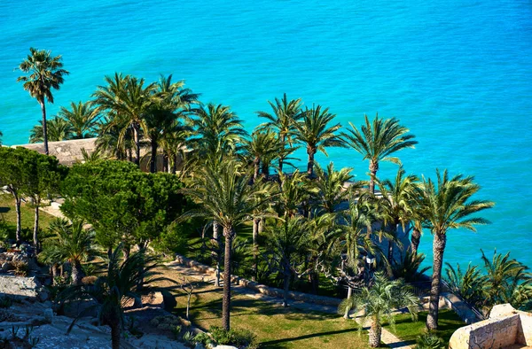 Park in the Peniscola Castle. Spain — Stock Photo, Image