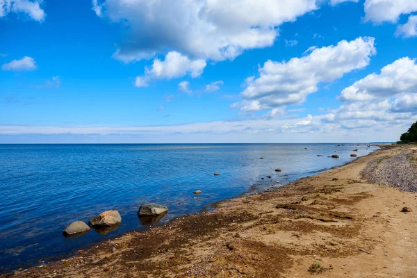Берег Балтийского моря. Латвия — стоковое фото