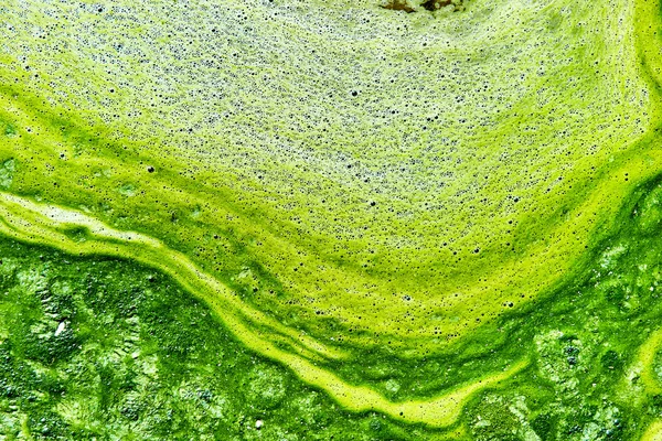 Água poluída com algas. Cores verde e amarelo — Fotografia de Stock