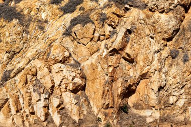 Kaya dokusunun yakın çekim